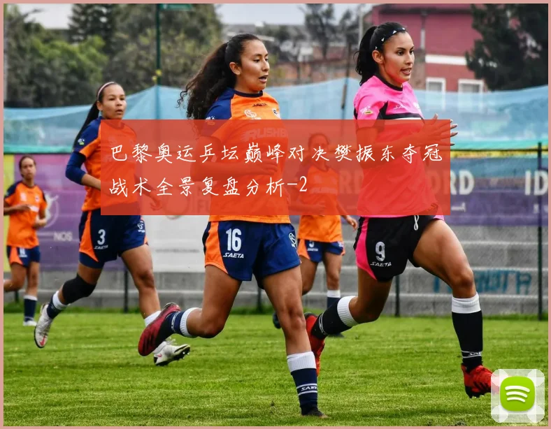 巴黎奥运乒坛巅峰对决樊振东夺冠战术全景复盘分析
