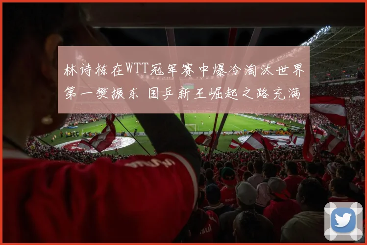 林诗栋在WTT冠军赛中爆冷淘汰世界第一樊振东 国乒新王崛起之路充满希望与挑战